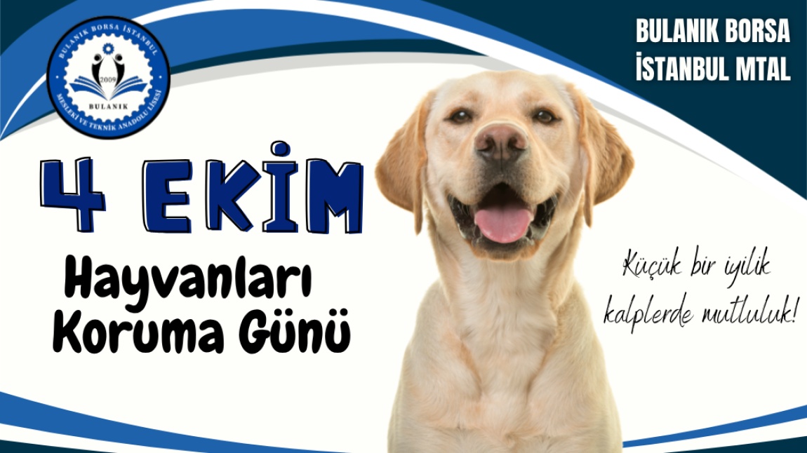 Hayvanları Koruma Gününde Duyarlılık Örneği: Mama Dağıtım Etkinliği